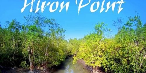 1732960115515_525957_Hiron-point-Sundorbon-min